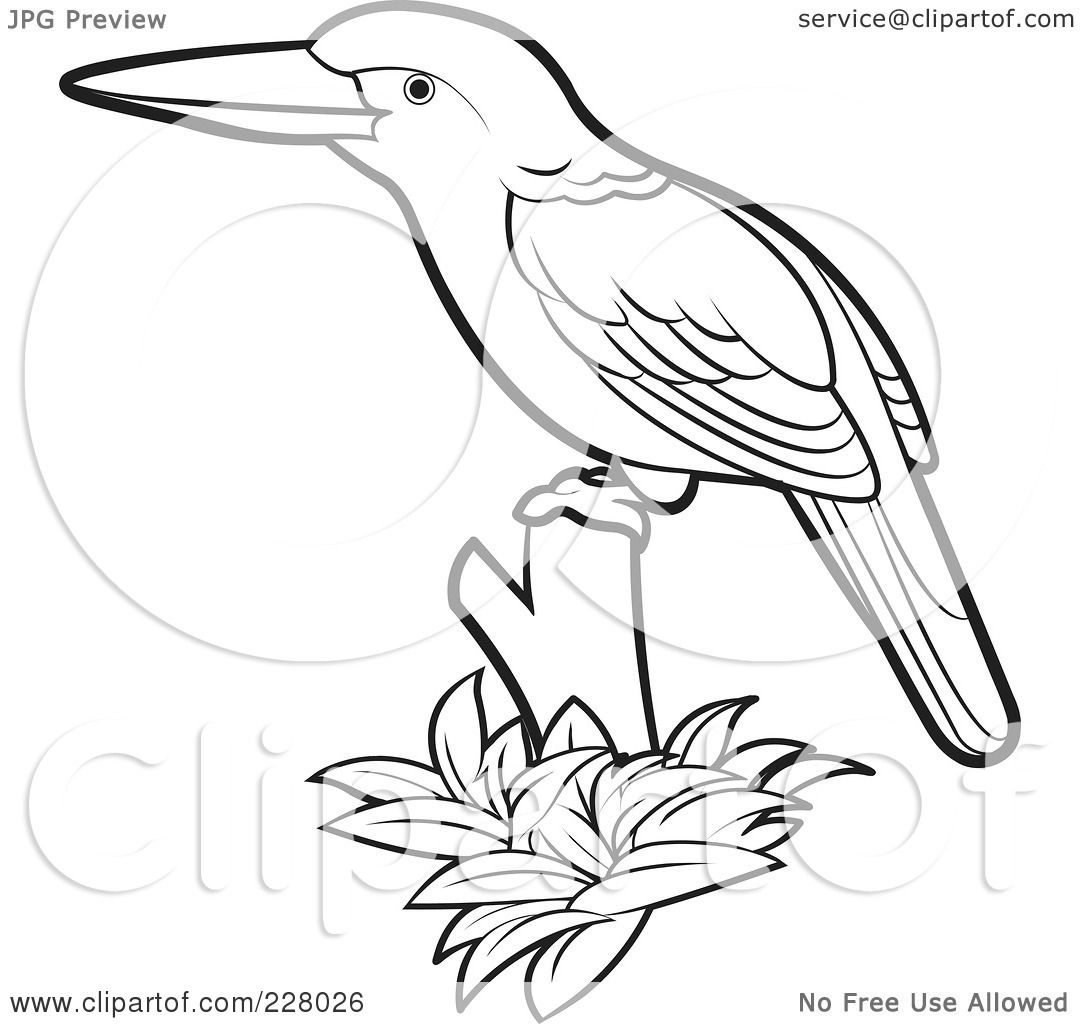 1080x1024 Royalty Free (Rf) Clipart Illustration Of A Coloring Page Outline