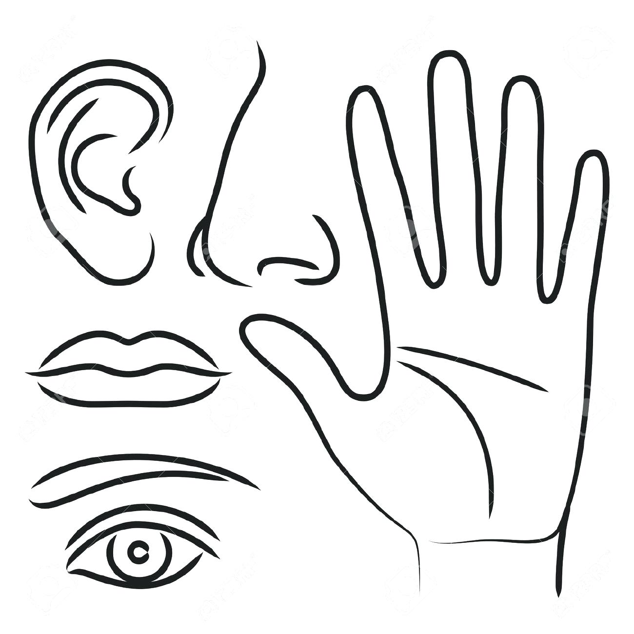 1300x1300 Prints Kissing Lips Coloring Pages Free Printable Free Printable