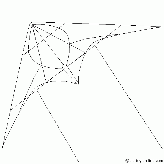 550x550 Summer Pictures