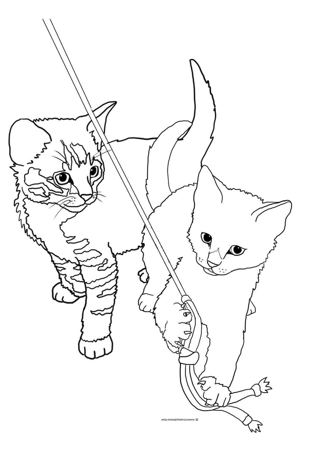 1063x1510 Cat Coloring Pages