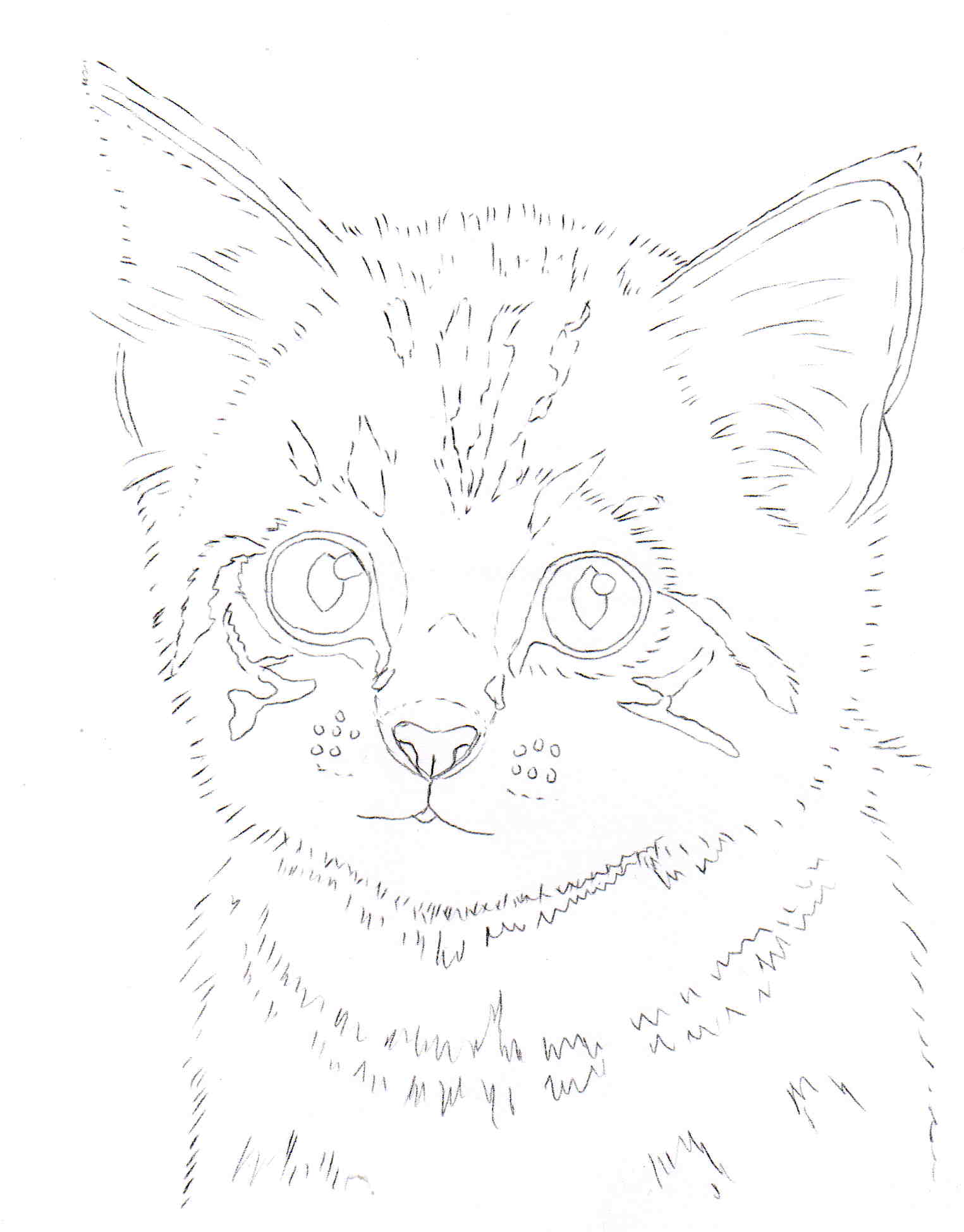 1525x1949 Drawn Kittens Line Drawing