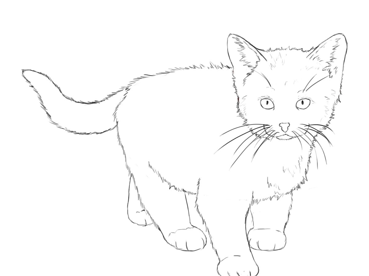 1200x900 How To Draw A Kitten Tutorials, Cat And Sketches