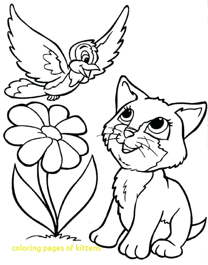 700x890 Coloring Pages Of Kittens With Coloring Pages Kitten Cat Kids