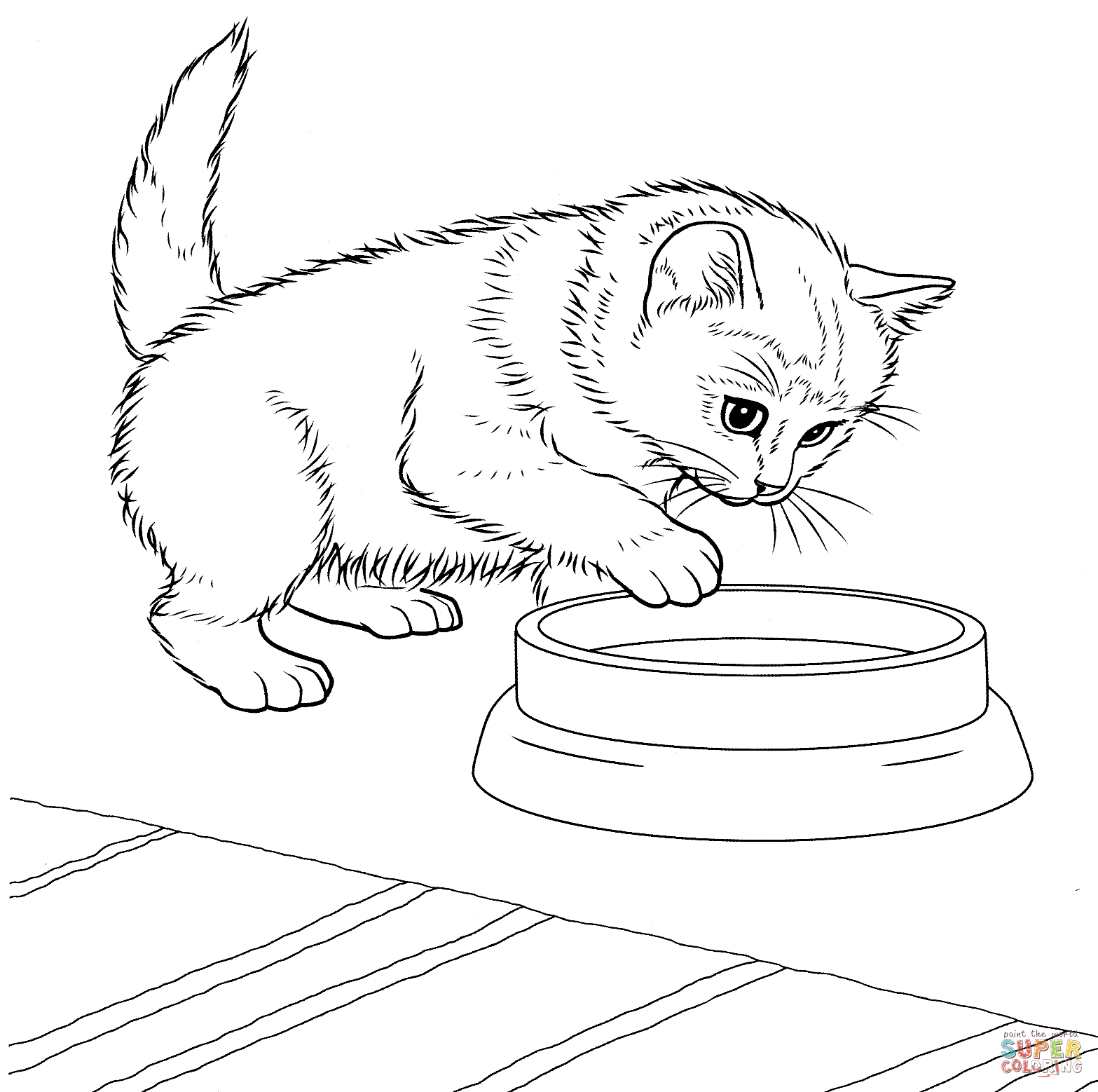 1567x1558 Kittens Coloring Page In Kitten