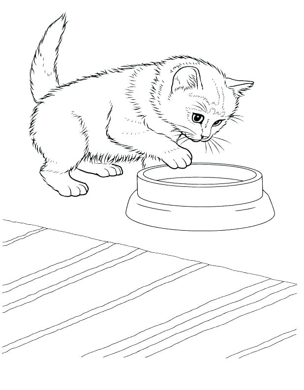 618x793 Printable Kitten Coloring Pages Best Puppy Images On Books