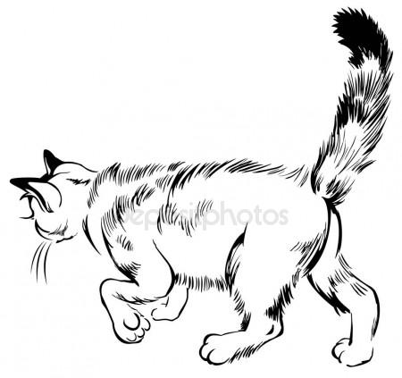 450x423 Black And White Sketch Of A Little Kitten. Stock Vector