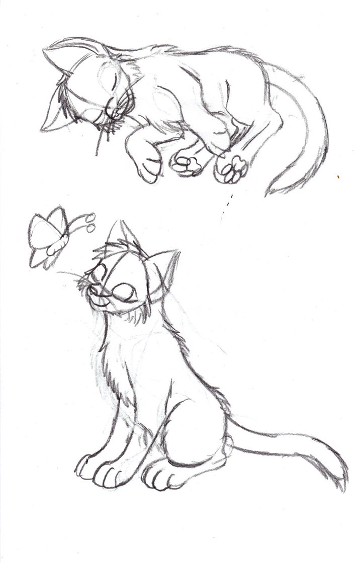 710x1124 Kitten Pose Redo Sketch By Cats Paw Island