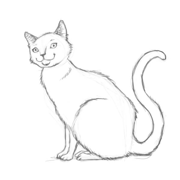 600x600 How To Draw A Cat