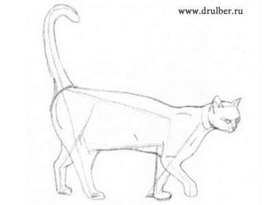 400x300 How To Draw The Cat With A Pencil Step By Step