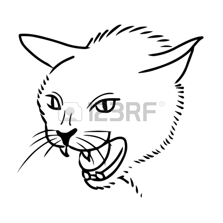 450x450 Freehand Sketch Illustration Of Angry Cat, Kitten Doodle Hand