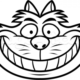 320x320 Tag For Photos Of Kittens Line Drawing Easy To Draw Cat Face