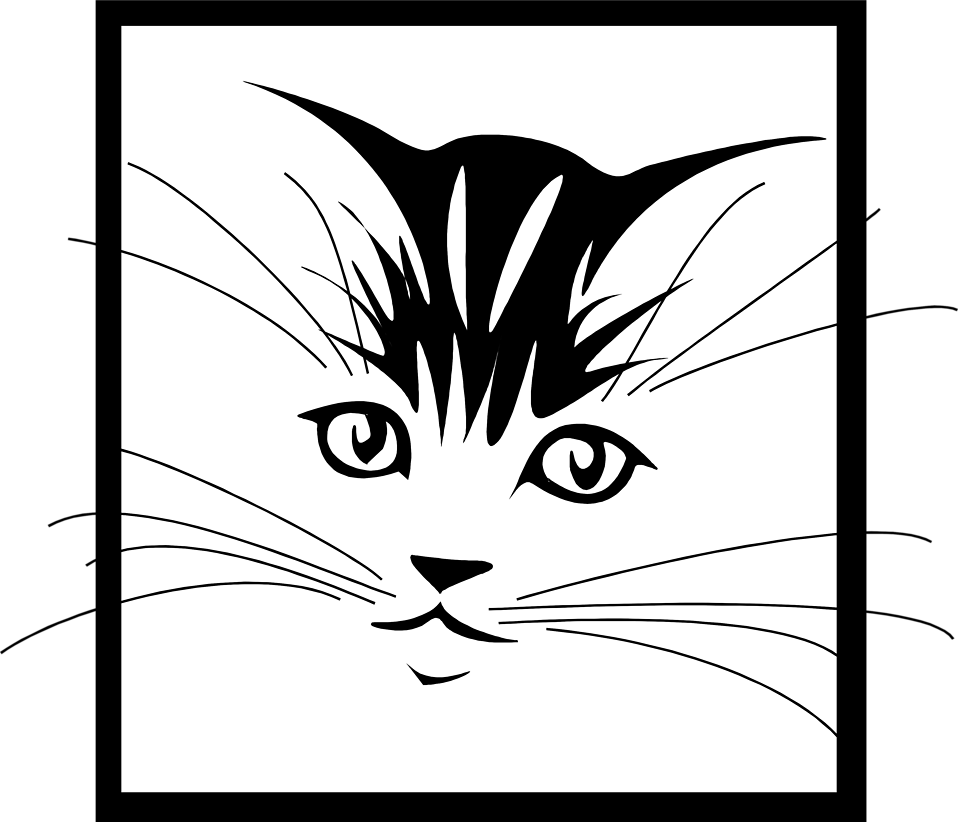 958x822 Cat Free Stock Photo Illustration Of A Kitten Face