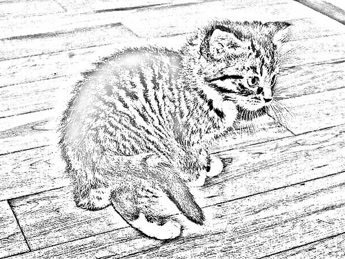 500x375 Iver Chrisser's Photos Tagged With Pencilsketches