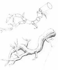 206x248 285 Best Drawing Images On How To Draw, Drawing Ideas