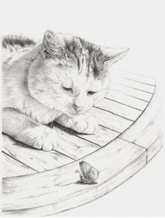 236x311 Mind Blowing Photorealistic Pencil Drawings Of Cats Lungs