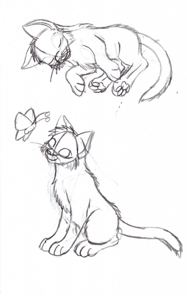 646x1024 Sketches Of Kittens Kitten Pose Sketch Cats Know They Were