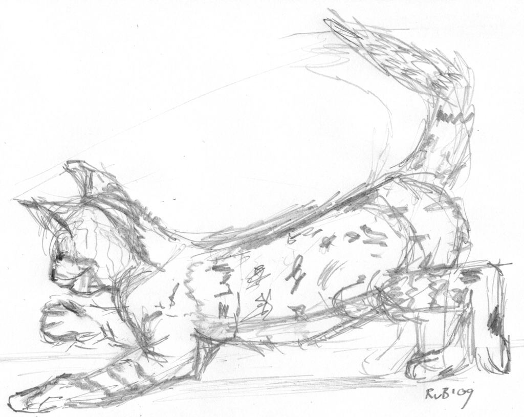 1024x815 The World's Best Photos Of Bengalcat And Playing