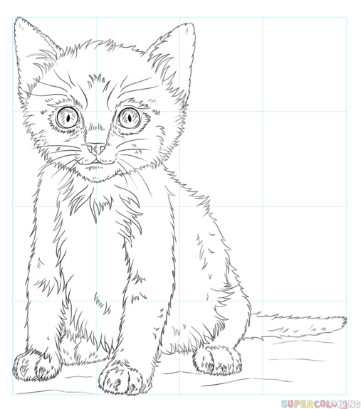 507x575 How To Draw A Cute Kitten Step By Step Drawing Tutorials