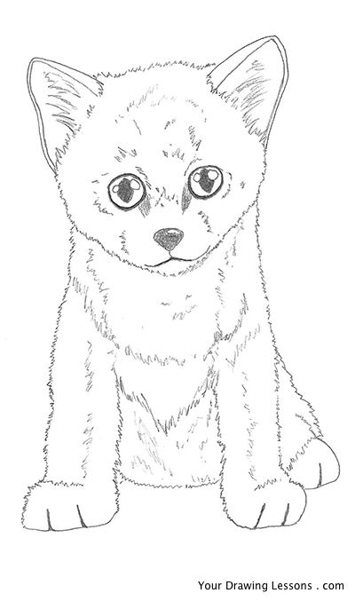 400x677 How To Draw A Kitten Your Drawing Lessons