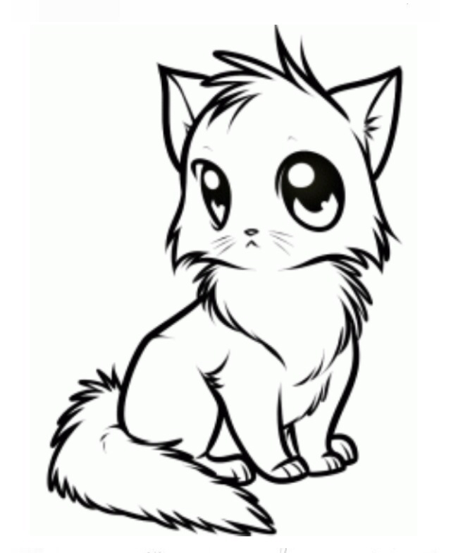 640x784 Pin By Shadow Kitty On Cats Sketch Inspiration