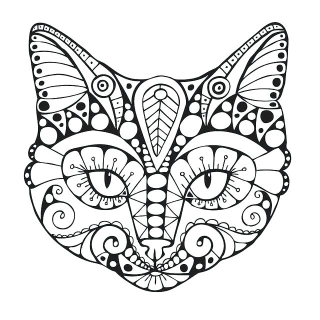 640x640 Coloring Page Cat Cortefocal.site