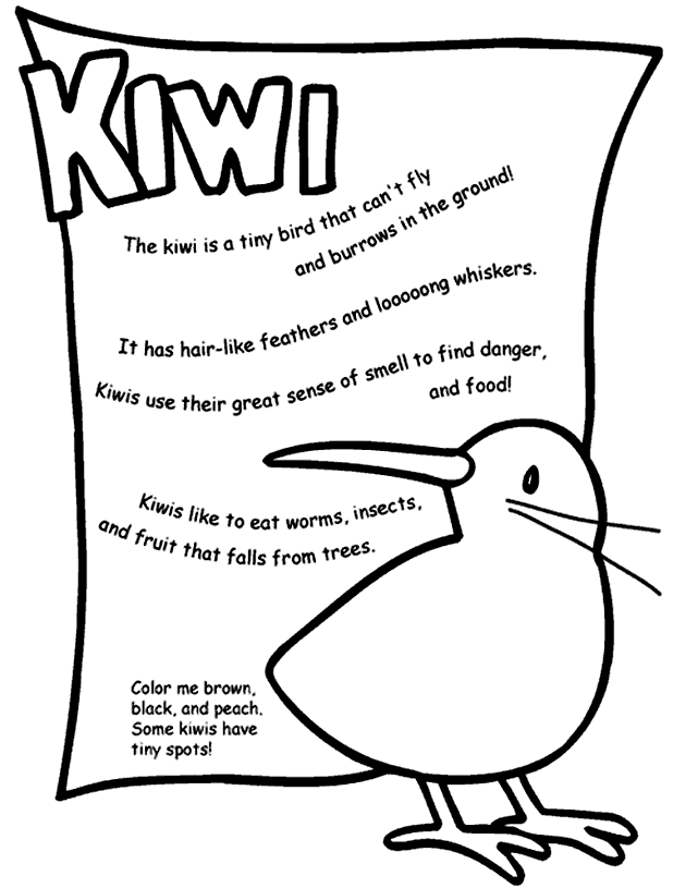 641x815 Kiwi Coloring Page