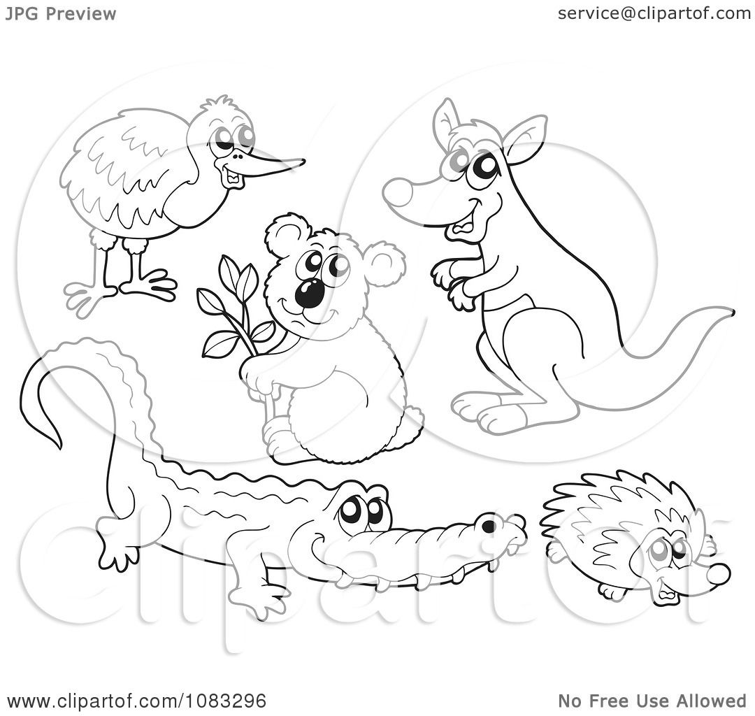 1080x1024 Clipart Outlined Kiwi Bird Koala Kangaroo Crocodile And Hedgehog