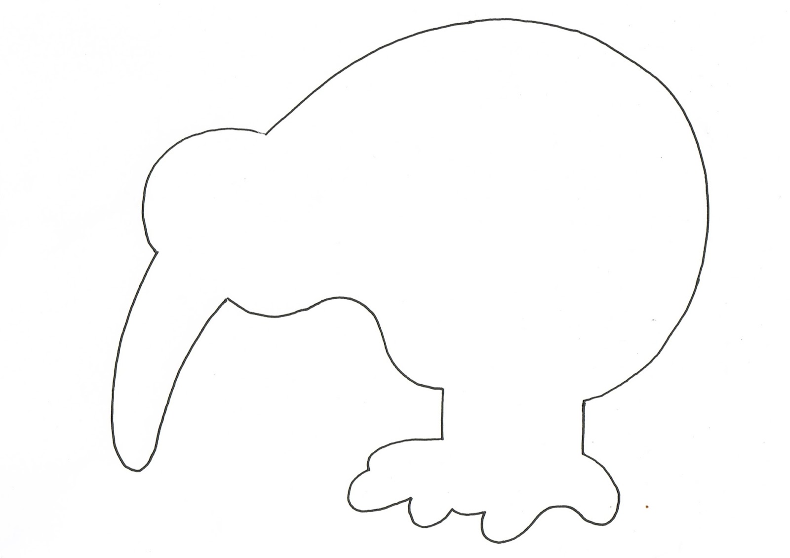 1600x1130 Kiwi Cakes