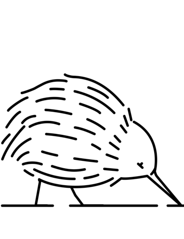 371x480 Kiwi Coloring Page Free Printable Coloring Pages