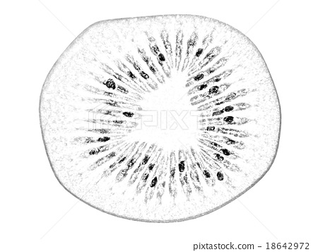 450x356 Slices Of Kiwi