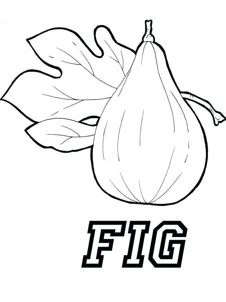 750x1000 Fruits Coloring Page Kiwi Fruit Coloring Pages Fruits Coloring
