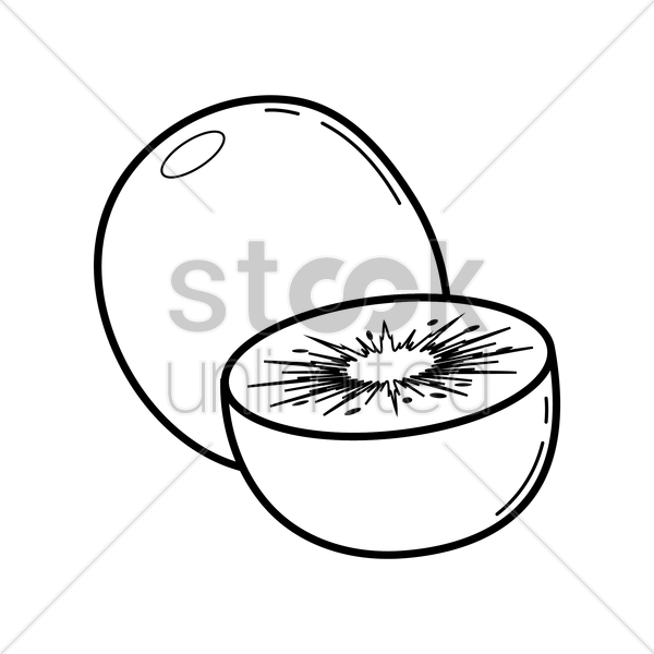 600x600 Kiwi Vector Image