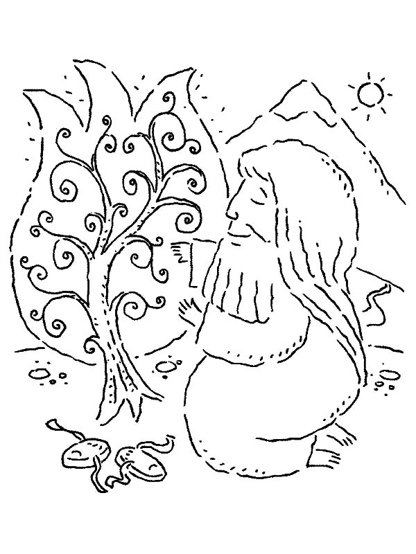 600x800 Moses Kneeling To Burning Bush Coloring Pages