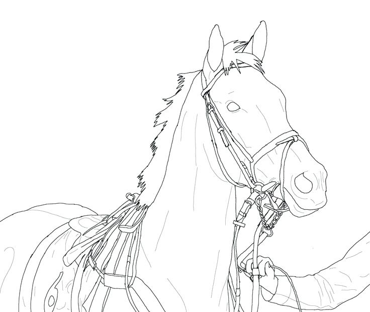 736x620 How To Draw Horses Coloring Page Pretty Horse Coloring Pages