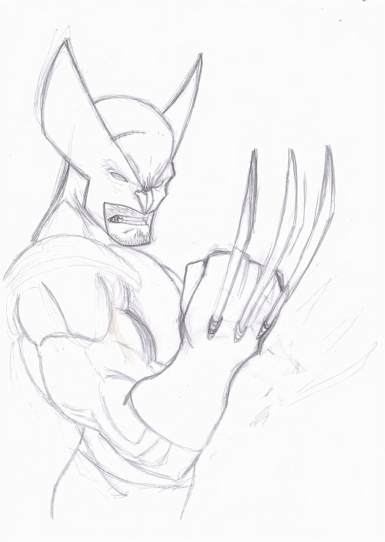 754x1060 Prelim Sketch