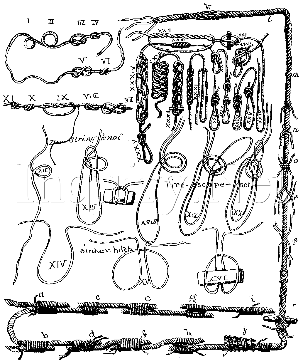 1033x1239 Knots, Bends, Hitches