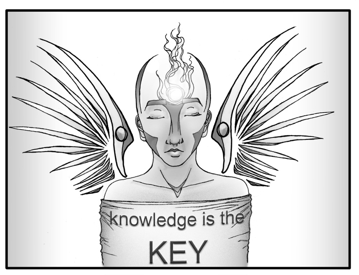 737x566 The World I See Reflects Back Me Commissioned Creations