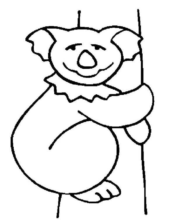 600x767 Koala Bear Drawing Coloring Page Color Luna