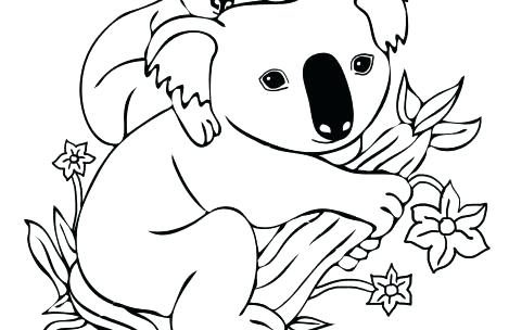 469x304 Koala Bear Coloring Pages Synthesis.site