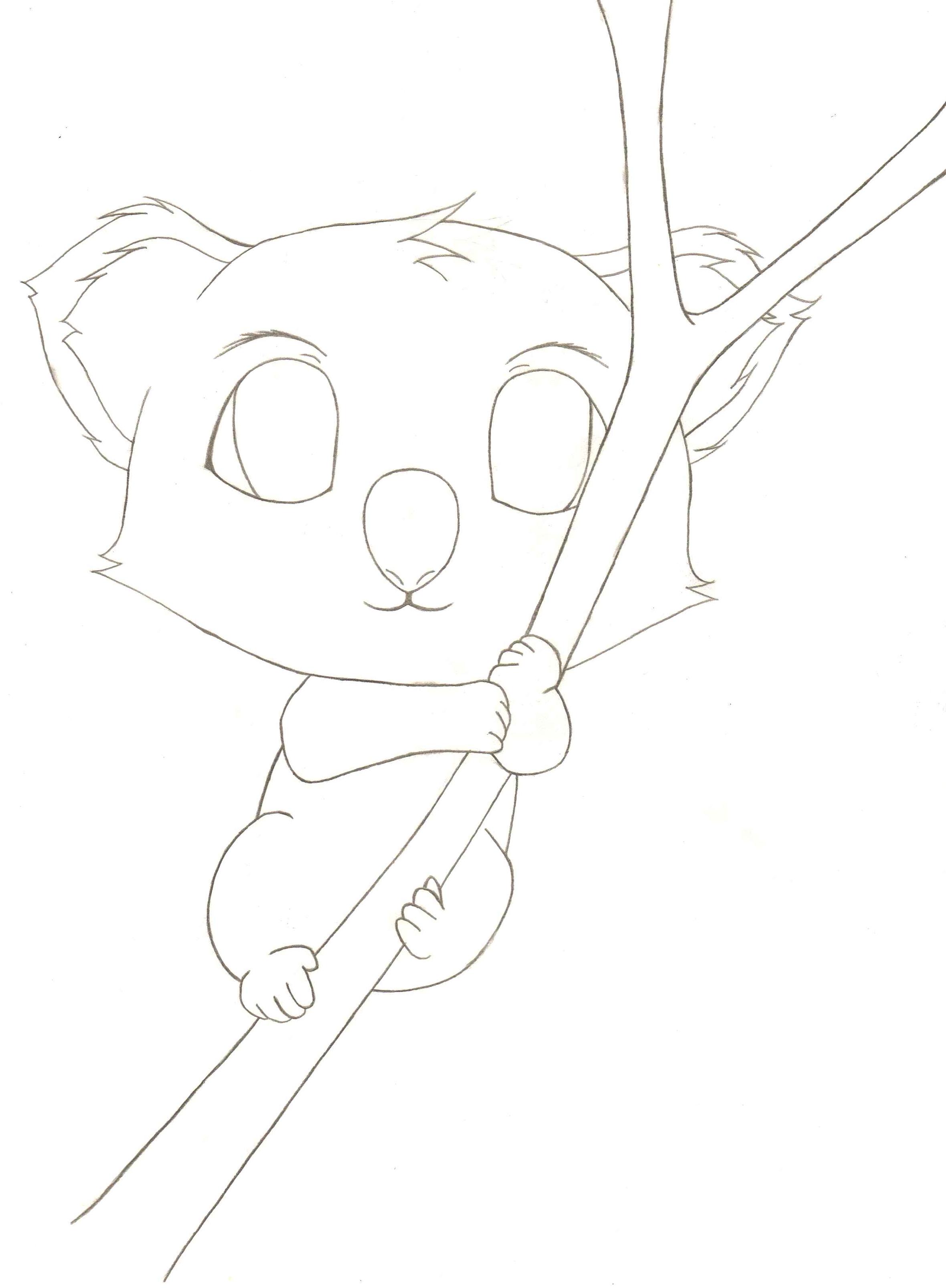 2362x3215 Best Photos Of Koala Bear Sketch