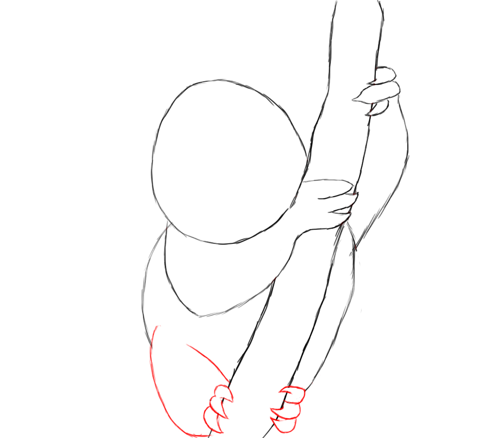 981x900 How To Draw A Koala