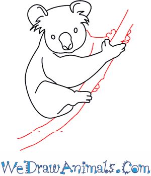 300x350 68 Best 3d Koala Images On Koalas, Animal Sculptures