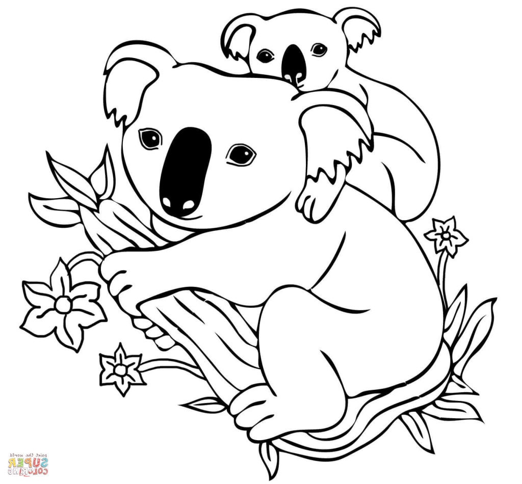 Coloring Koala Pages Kids Printable Sketch Coloring Page