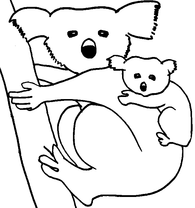 655x697 Koala Coloring Page