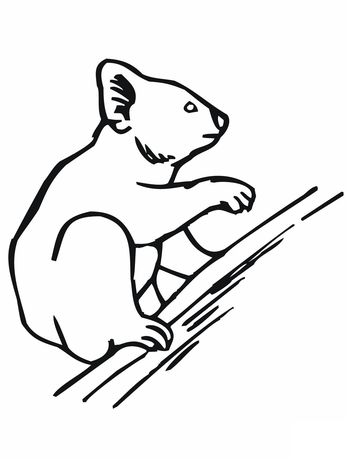 1200x1600 Free Printable Koala Coloring Pages For Kids