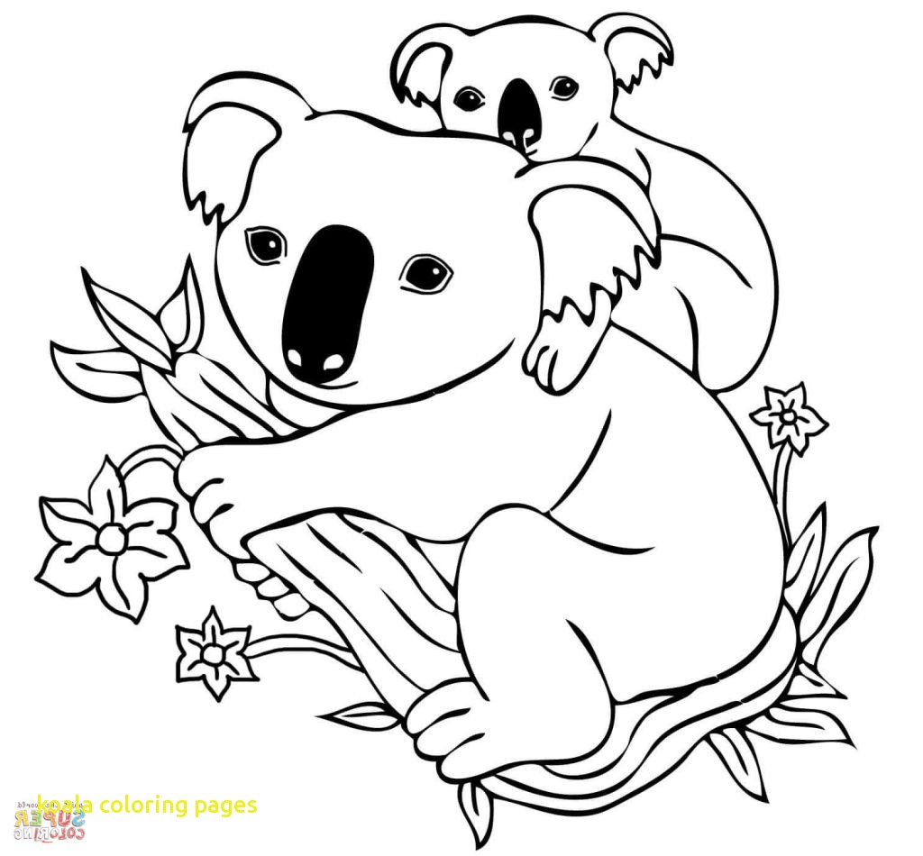 1024x950 Koala Coloring Pages Coloringpageforkids.co