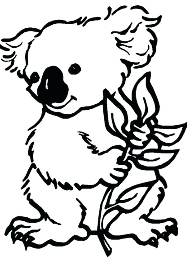 600x851 Realistic Koala Bear Coloring Pages Surprising For Line Drawings