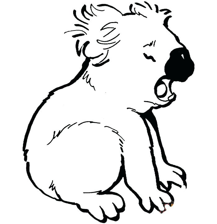 700x720 Top Rated Koala Coloring Pages Images Crying Koala Coloring Page