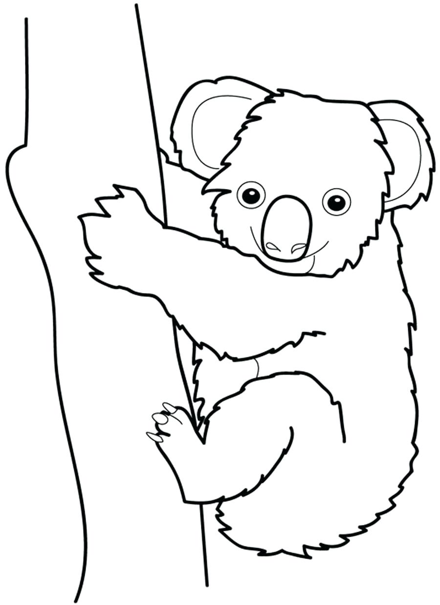 Koala Drawing at GetDrawings | Free download