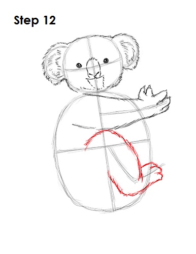 386x500 How To Draw A Koala